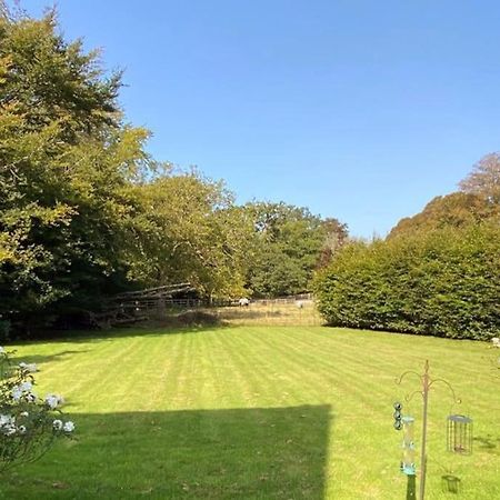 The Dower House At Parnham Park Villa Beaminster Buitenkant foto