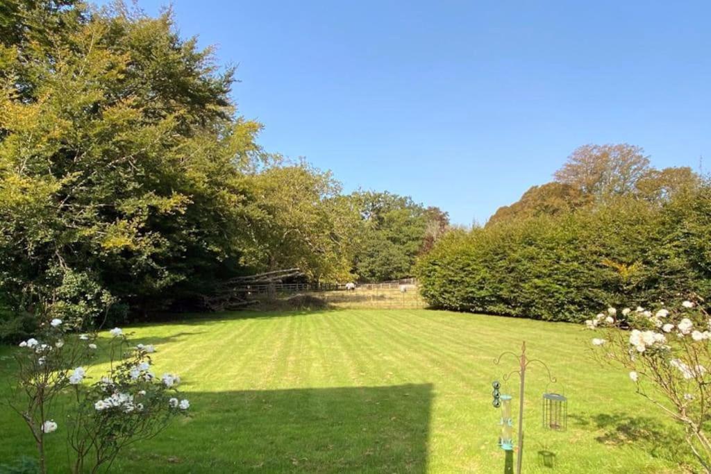 The Dower House At Parnham Park Villa Beaminster Buitenkant foto